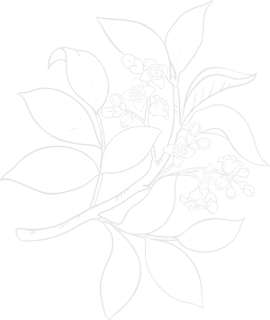 bg-001
